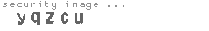 security image