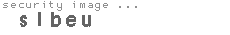 security image