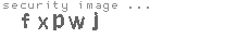 security image