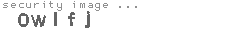 security image