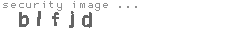 security image