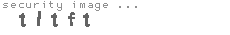 security image