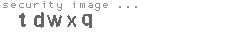 security image