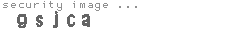security image